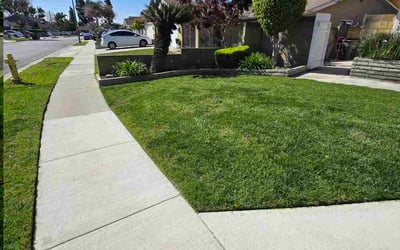 Photo of Cyndi W.'s yard after getting lawn care in Lakewood, CA