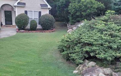 Photo of Lisa R.'s yard after getting lawn care in Fayetteville, GA