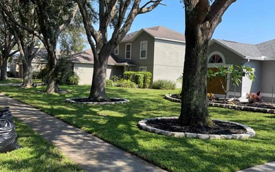 Photo of Cheryl F.'s yard after getting lawn care in Ocoee, FL