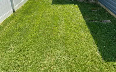 Photo of Shannan R.'s yard after getting lawn care in Williamstown, NJ