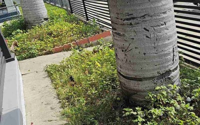 Photo of Jennifer B.'s yard after getting lawn care in Choctaw, OK