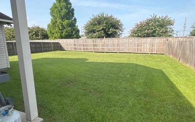 Photo of Jason A.'s yard after getting lawn care in Crowley, LA