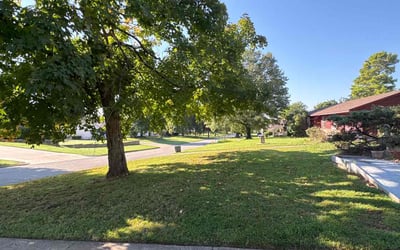 Photo of Laura C.'s yard after getting lawn care in Roseville, MN