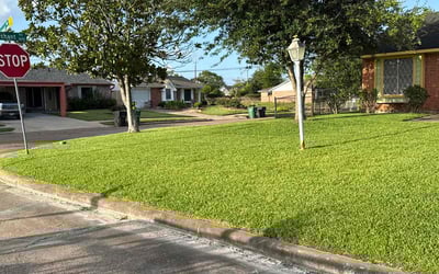 Photo of Cecilia B.'s yard after getting lawn care in Houston, TX