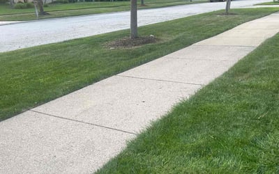 Photo of Candice S.'s yard after getting lawn care in Glenview, IL