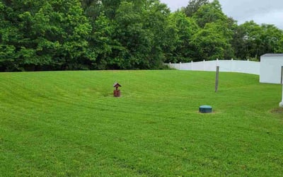 Photo of Latasha C.'s yard after getting lawn care in Laurel, DE