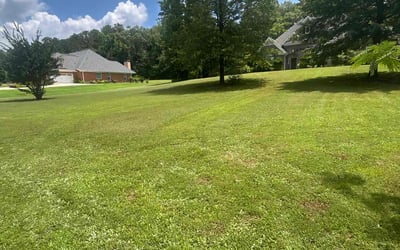 Photo of Gary P.'s yard after getting lawn care in Bothell, WA