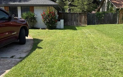 Photo of Dell H.'s yard after getting lawn care in Linden, NJ