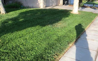 Photo of Deedan K.'s yard after getting lawn care in Fresno, CA