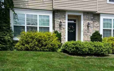 Photo of Lamecca H.'s yard after getting lawn care in Springfield, PA