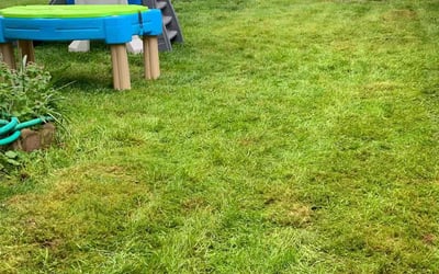Photo of Sandra M.'s yard after getting lawn care in Monroe, WA