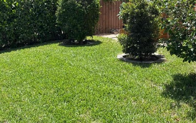 Photo of Nancy J.'s yard after getting lawn care in Hendersonville, NC