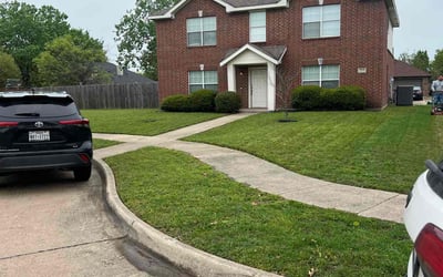 Photo of Melodi B.'s yard after getting lawn care in Gainesville, FL