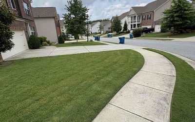 Photo of Patricia D.'s yard after getting lawn care in Elgin, TX