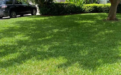 Photo of Andrew S.'s yard after getting lawn care in Clinton, MS