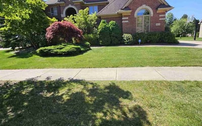 Photo of Jean O.'s yard after getting lawn care in Canton, MA