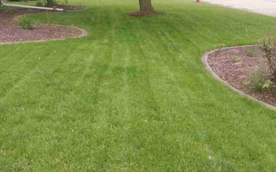 Photo of Stephen D.'s yard after getting lawn care in Germantown, WI