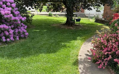 Photo of Daeja M.'s yard after getting lawn care in Lancaster, PA