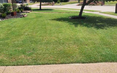 Photo of Kellie C.'s yard after getting lawn care in Sachse, TX