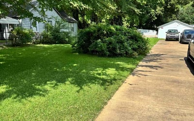 Photo of Dana C.'s yard after getting lawn care in Dunlap, TN