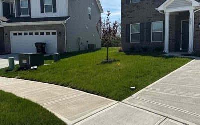 Photo of Chris H.'s yard after getting lawn care in Brookville, OH