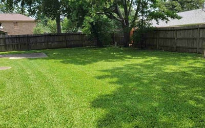 Photo of Sheana D.'s yard after getting lawn care in Bellaire, TX