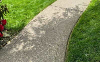 Photo of Nicole N.'s yard after getting lawn care in Portland, OR