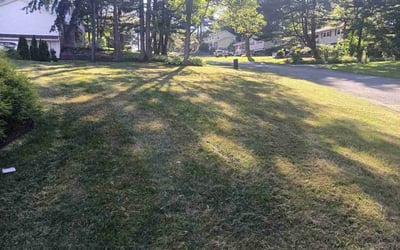 Photo of Miramique B.'s yard after getting lawn care in Land O' Lakes, FL