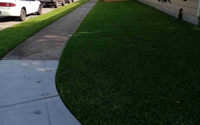 Photo of Darrel D.'s yard after getting lawn care in Columbia, TN