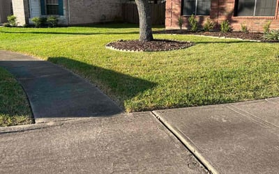 Photo of Nicole B.'s yard after getting lawn care in Pearland, TX