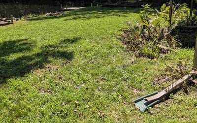 Photo of Marlon A.'s yard after getting lawn care in Pinckney, MI