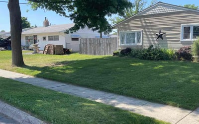 Photo of Marilou S.'s yard after getting lawn care in Levittown, PA