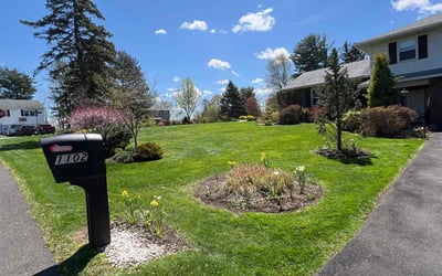 Photo of J Y.'s yard after getting lawn care in Brunswick, NY