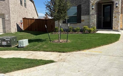 Photo of Tyler W.'s yard after getting lawn care in Thomasville, NC
