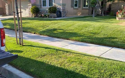 Photo of Margaret E.'s yard after getting lawn care in Yucaipa, CA