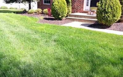 Photo of Renee J.'s yard after getting lawn care in Warrenton, VA