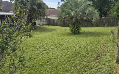 Photo of Shelby L.'s yard after getting lawn care in Pace, FL