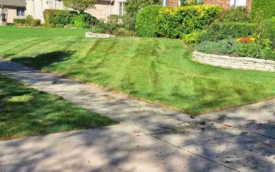 Photo of David B.'s yard after getting lawn care in Orland Park, IL