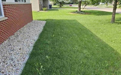 Photo of Kelvin M.'s yard after getting lawn care in Janesville, WI