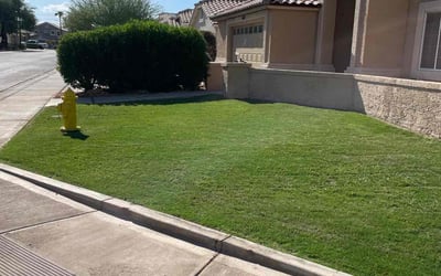 Photo of Andrew M.'s yard after getting lawn care in Gilbert, AZ
