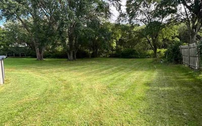 Photo of Dany B.'s yard after getting lawn care in Woonsocket, RI