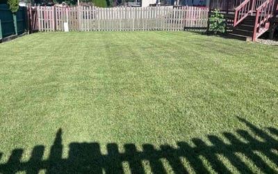 Photo of Rachael D.'s yard after getting lawn care in Schererville, IN
