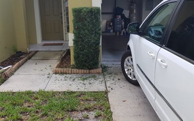 Photo of Tara L.'s yard after getting lawn care in Baltimore, MD