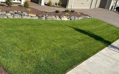 Photo of Elizabeth K.'s yard after getting lawn care in Medford, OR