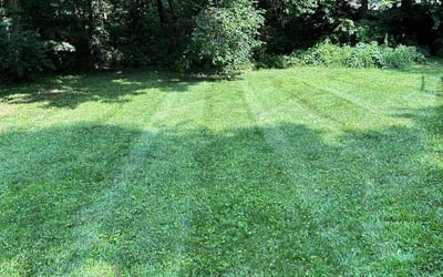 Photo of Angela B.'s yard after getting lawn care in Leavenworth, KS
