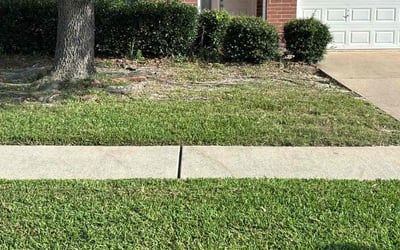 Photo of Jenny L.'s yard after getting lawn care in Modesto, CA