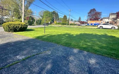 Photo of Elias Z.'s yard after getting lawn care in Elkins Park, PA