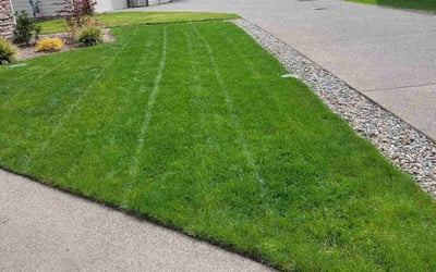 Photo of Sheila K.'s yard after getting lawn care in Puyallup, WA