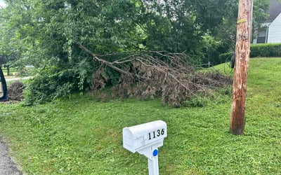 Photo of Kelsey H.'s yard after getting lawn care in Weaverville, NC