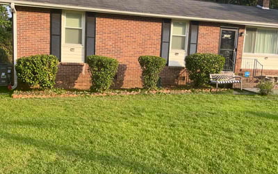 Photo of William R.'s yard after getting lawn care in Maplewood, NJ